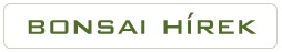 bonsai informaciok bonsai information for the marczika bonsai studio bonsai trees